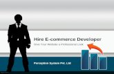 Give Your Website a Professional Look by Hiring E-commerce Developer