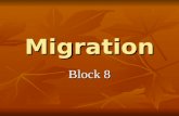 Migration 8