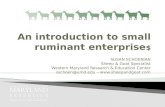 Intro to small ruminant enterprises