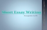 Short Essay Writing