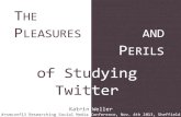The pleasures and perils of studying Twitter