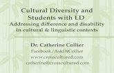 Learning Disabilities within Cultural & Linguistic Context