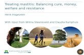 Balancing antibiotic treatment with regard to mastitis