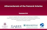 Atherosclerosis of the Femoral Arteries