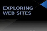 Exploring web sites