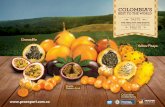 Taste the healthy and exotic flavor of colombian fruits