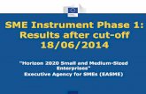 SME Instrument Phase 1: results after cut-off 18/06/2014, Natascia Lai, EASME