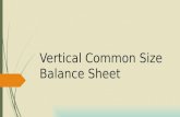 Vertical common size balance sheet