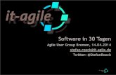 Software in 30 Tagen (Software in 30 days)