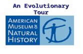 An evolutionary tour of the amnh part 1