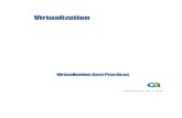Virtualization Best Practices