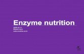 enzyme nutrition
