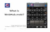 What is webhub.mobi?