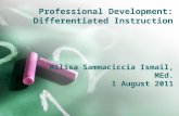 Professional Development: Differentiated Instruction