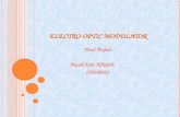 Electro-optic modulators