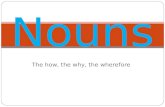 Intro To English Nouns