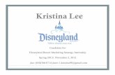 Disneyland Marketing Resort Strategy