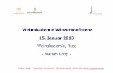 Mr marian kopp presentation winzerkonferenz rust 15 jan 2013_pdf