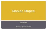 Maniac Magee Vocab 2