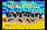 Lewis-Clark State College 2010 Volleyball Team Marketing Poster Concept