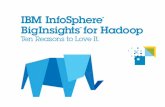 IBM InfoSphere BigInsights for Hadoop: 10 Reasons to Love It