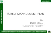 Forest management plan