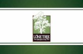 Lone Tree Creative - City of Sandpoint Presentation