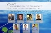 The Engaged Health Consumer - Adam Pellegrini, Walgreens - WLSA Convergence Summit 2014