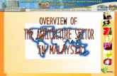 Overview of Agriculture Sector in Malaysia 1230823436347415 1