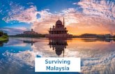 Surviving Malaysia (according to Hofstede model)