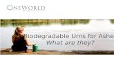 Biodegradable Urns for Cremation Ashes; What Are They?