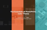 The Essentials of PowerPoint Color Theme