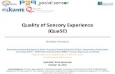 Quality of Sensory Experience (QuaSE)