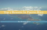 Dr. Morayma Reyes | Top 5 Puerto Rican Resorts