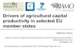 Drivers of agricultural capital productivity in selected EU member sates