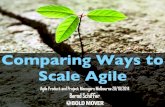 Comparing Ways to Scale Agile at Agile Product and Project Manager Meetup