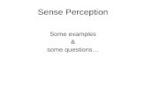 ToK presentation on sense perception 2013