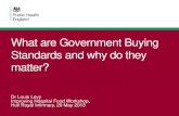 What are government buying standards and why do they matter