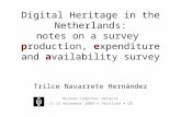 Trilce Navarrete paper "Digital Heritage in the Netherlands:  Notes on a Survey