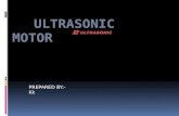 A Ultrasonic Motor