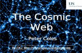 The Cosmic Web - Evening Lecture at Sussex University on 9th December 2013