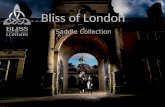 Bliss of London Saddle Collection