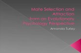 Mate Selection And Attraction  Power Point