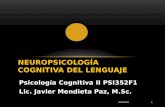 4. Neuropsicologia del lenguaje