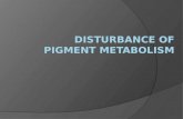 Disturbance of Pigment Metabolism