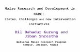 Maize Research and Development in NARC, Nepal