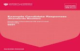 9691 Computing Example Candidate Responses Booklet 2011[1]