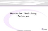 5 Protection Switching Schemes