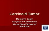 Carcinoid Tumor - MColey