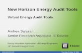 New Horizon Energy Audit Tools